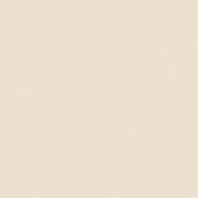 Parchment