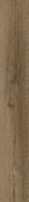 Style: Secoya 2.5(C2103) | Color: Caramel Oak(142) | Mohawk Group