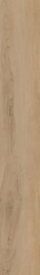 Hot and Heavy II Collection | Secoya 2.5 (C2103) - Amber Maple (842) － Carpet Tile