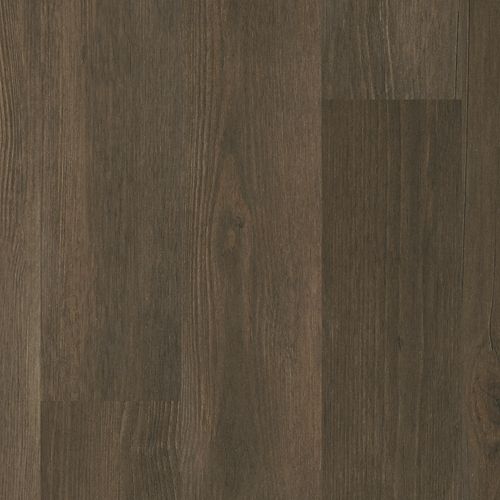 Arrington by Mohawk Industries - Forest Brown
