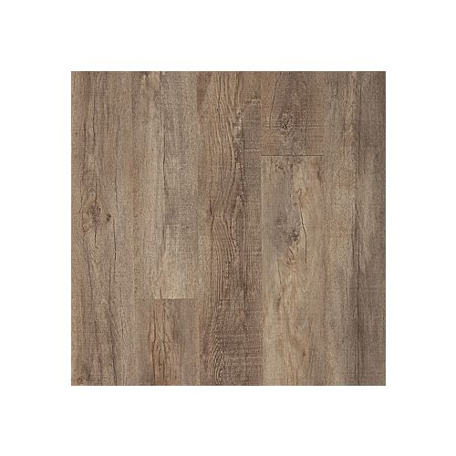 Dorian Oak