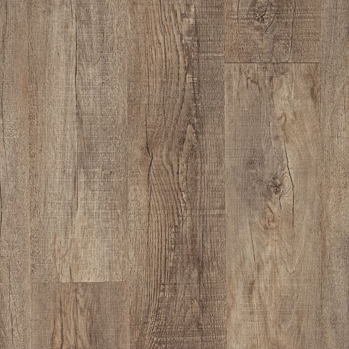 Dorian Oak