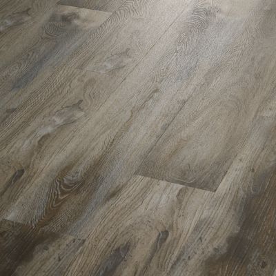 Explorer's Cove, Raccoon, Resilient / Vinyl | Mohawk Flooring