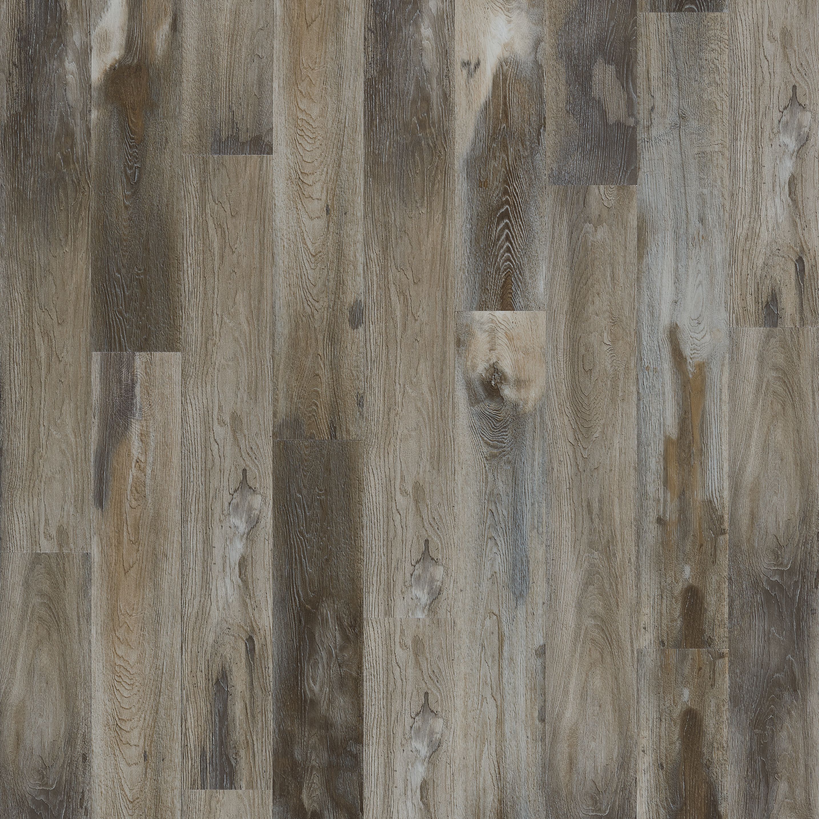 Explorer's Cove, Dolphin, Resilient / Vinyl | Mohawk Flooring