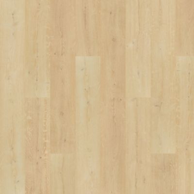 filteredCollection[selectedProductIndex]?.masterStyleNumber