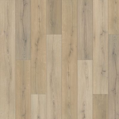 filteredCollection[selectedProductIndex]?.masterStyleNumber