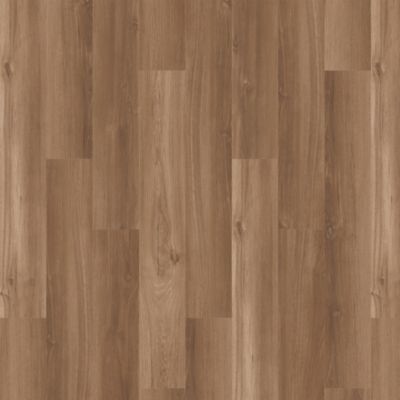 filteredCollection[selectedProductIndex]?.masterStyleNumber