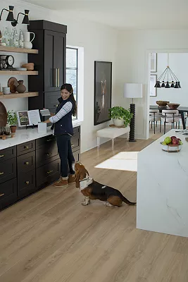 a dog eating a steak off dark brown hardwood floors