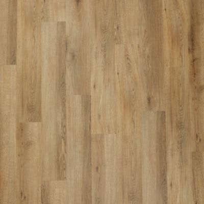 filteredCollection[selectedProductIndex]?.masterStyleNumber