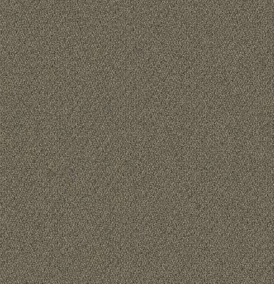 Style: Trail Mix(BC333) | Color: Faded Canvas(7848) | Mohawk