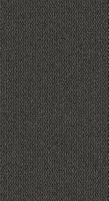 Explorations - Trail Mix - 7989, Grounded Char - Broadloom