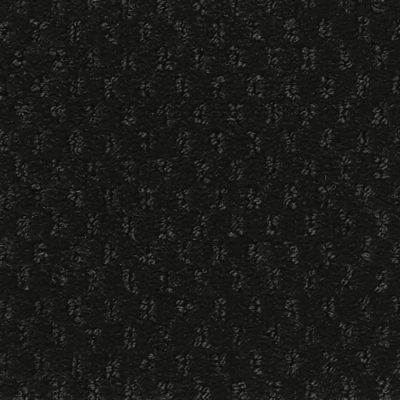 Starless Night
