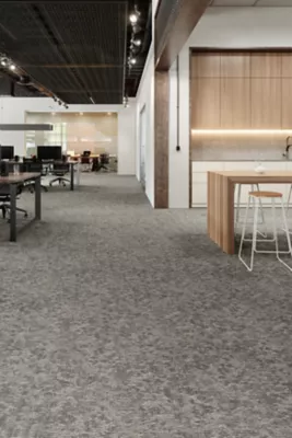 Renewed Outlook - Superflux - Carpet Tile