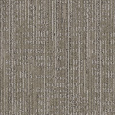 Style: Grounded Earth(2B226) | Color: Snow Pack(559) | Aladdin