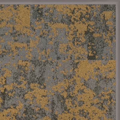 Gold Dust Bark