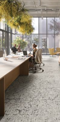 Style: Gentle Ground(GT364) | Color: Buzz(978) | Mohawk Group