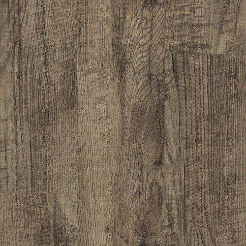 Dark Forest