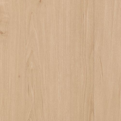 Blonde Maple