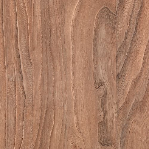 Toasted Chestnut