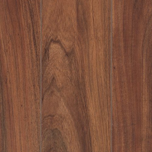 Sunbeam Acacia