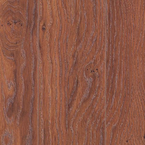 Crisp Autumn Oak