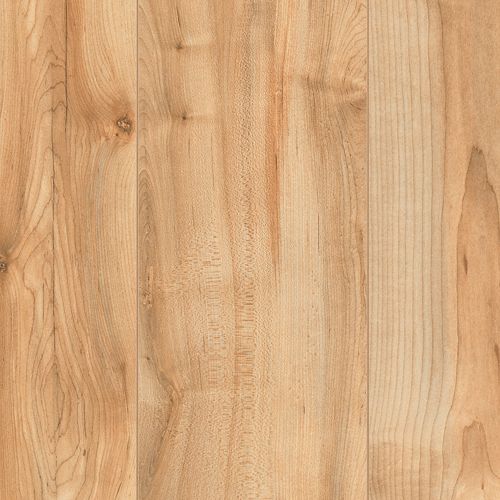 Honey Blonde Maple