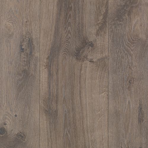 Cheyenne Rock Oak