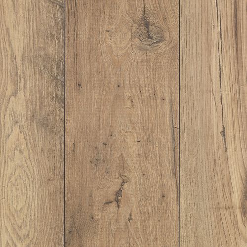 Fawn Chestnut