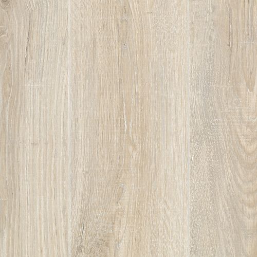 Sandcastle Oak