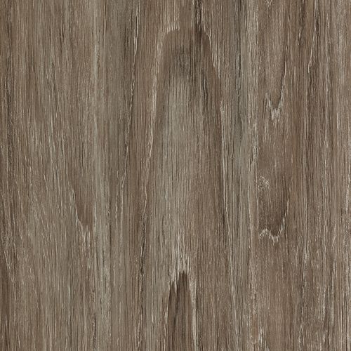 Coastal Gray