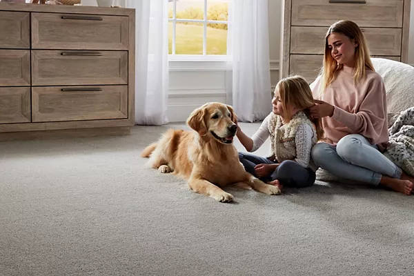 girl playing with a dog on carpet