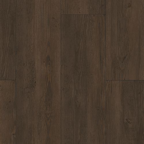 Arrington by Mohawk Industries - Forest Brown