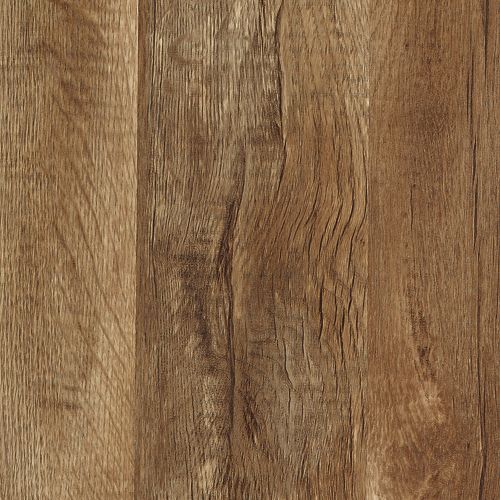 Buckskin Oak