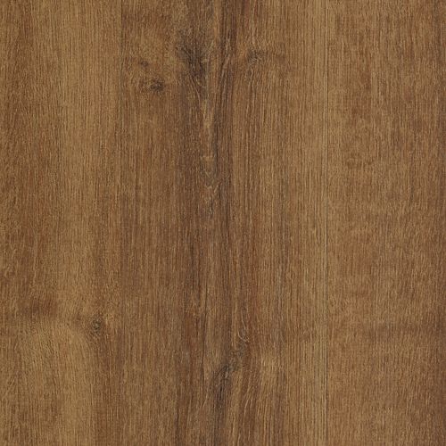 Grandfather Oak