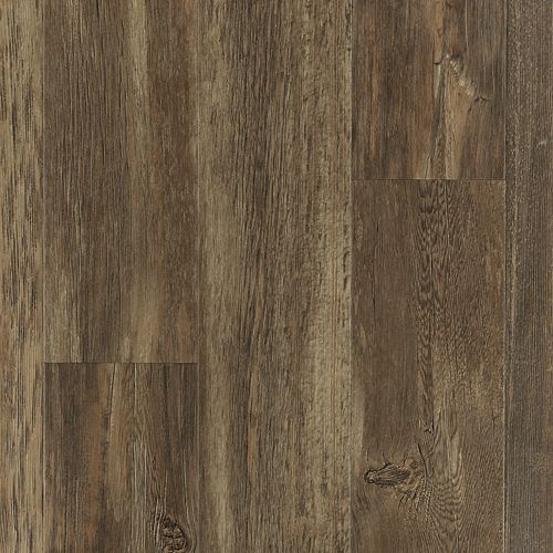 Firelight Pine