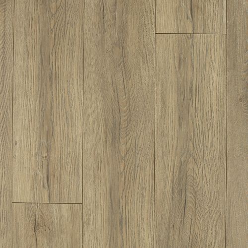 Outpost Oak