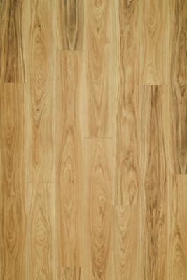 View Cheshire Bluff Hickory in the Visualizer