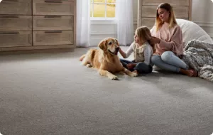 girl playing with a dog on carpet