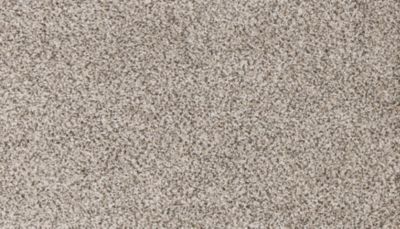 PetPremier Carpet in Frosty Spice - Mohawk Flooring