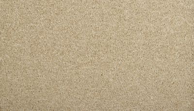 filteredCollection[selectedProductIndex]?.masterStyleNumber