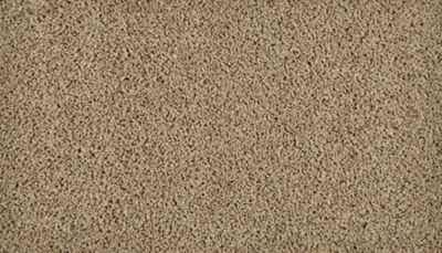 Classic Fit I, Safari Tan, Carpet | Mohawk Flooring