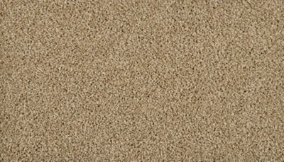 filteredCollection[selectedProductIndex]?.masterStyleNumber