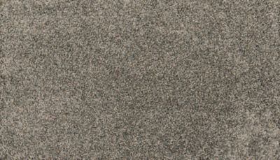 Mohawk Flooring Paw Pathway — Ash