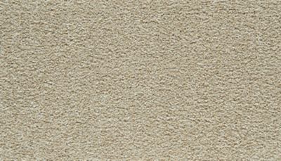 filteredCollection[selectedProductIndex]?.masterStyleNumber