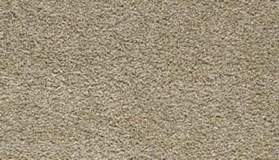 filteredCollection[selectedProductIndex]?.masterStyleNumber