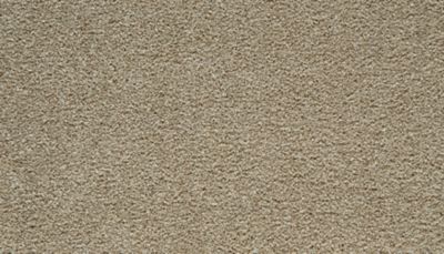 filteredCollection[selectedProductIndex]?.masterStyleNumber