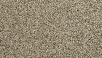 filteredCollection[selectedProductIndex]?.masterStyleNumber