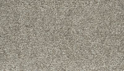 Pet Premier Carpet in Winter - Mohawk Flooring