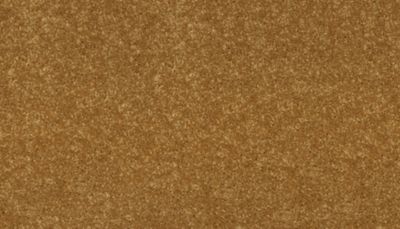 filteredCollection[selectedProductIndex]?.masterStyleNumber