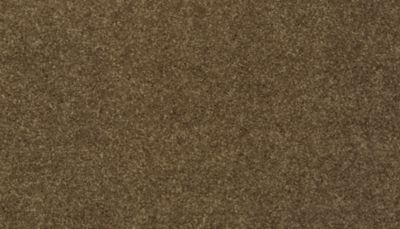 filteredCollection[selectedProductIndex]?.masterStyleNumber